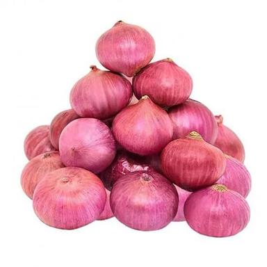 Fresh Onion Moisture (%): Nil