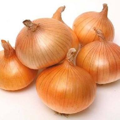 Natural Fresh Brown Onion