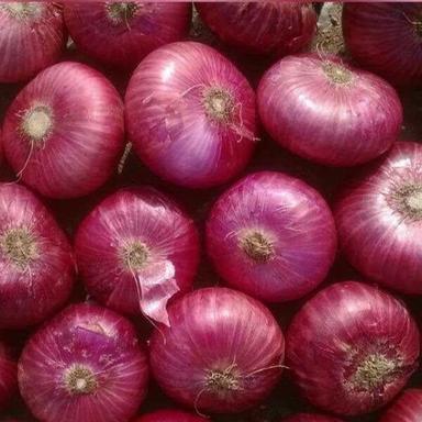 Organic Whole Farm Fresh Red Onion For Salad Dressing, Cooking